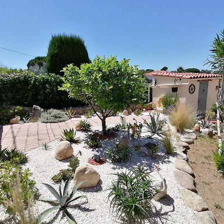 La Picholine Bed & Breakfast Sorède Dış mekan fotoğraf