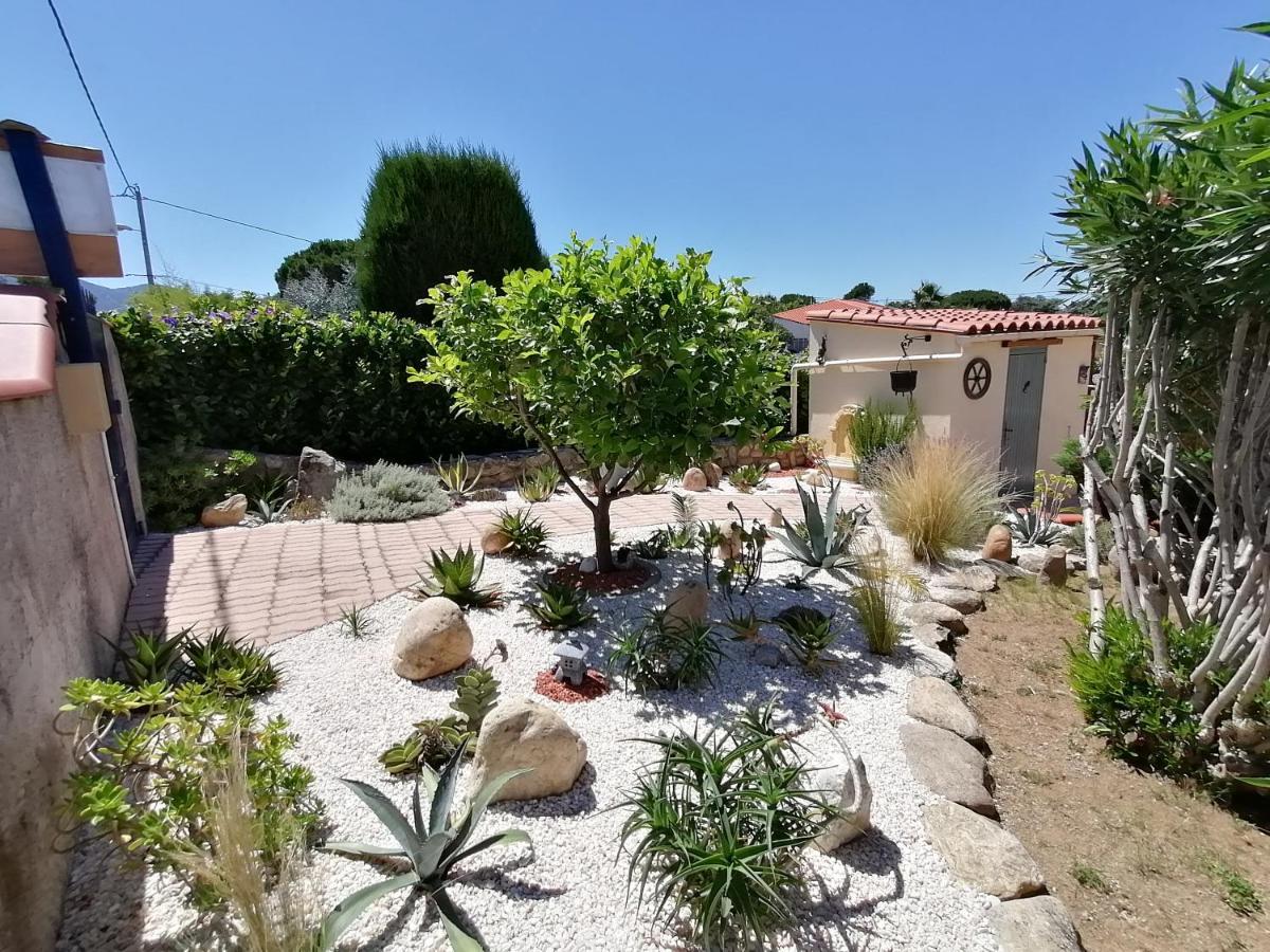 La Picholine Bed & Breakfast Sorède Dış mekan fotoğraf