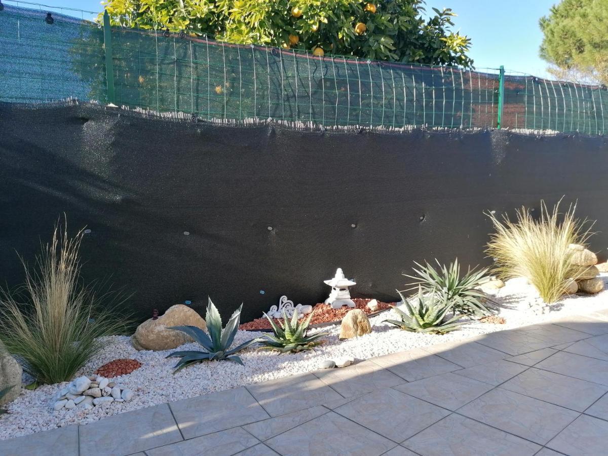 La Picholine Bed & Breakfast Sorède Dış mekan fotoğraf