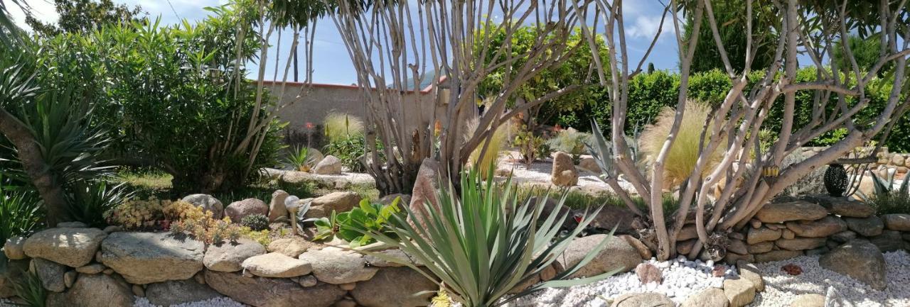 La Picholine Bed & Breakfast Sorède Dış mekan fotoğraf
